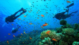 snorkeling marettimo